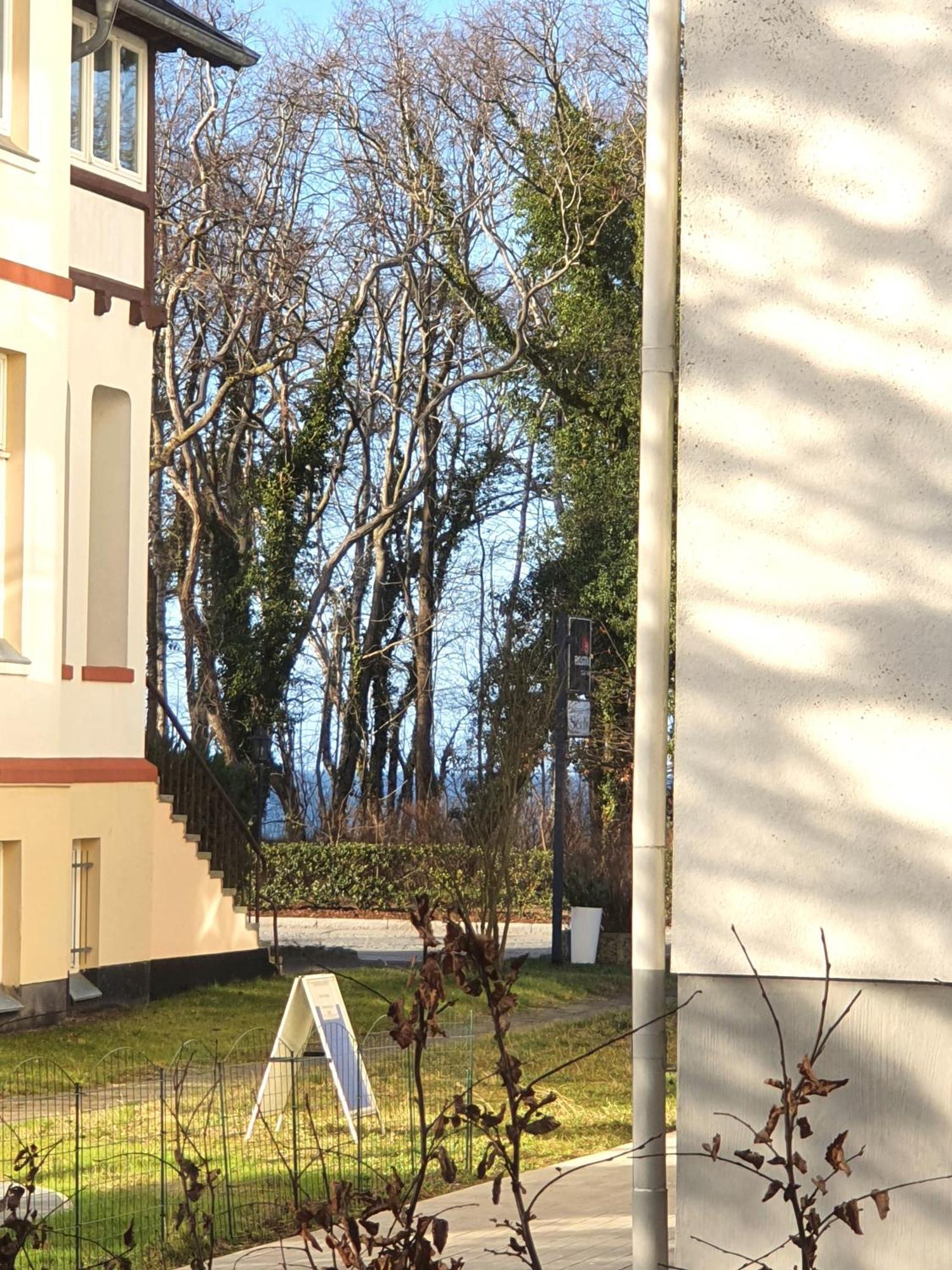 Villa Camenia Kuehlungsborn Room photo